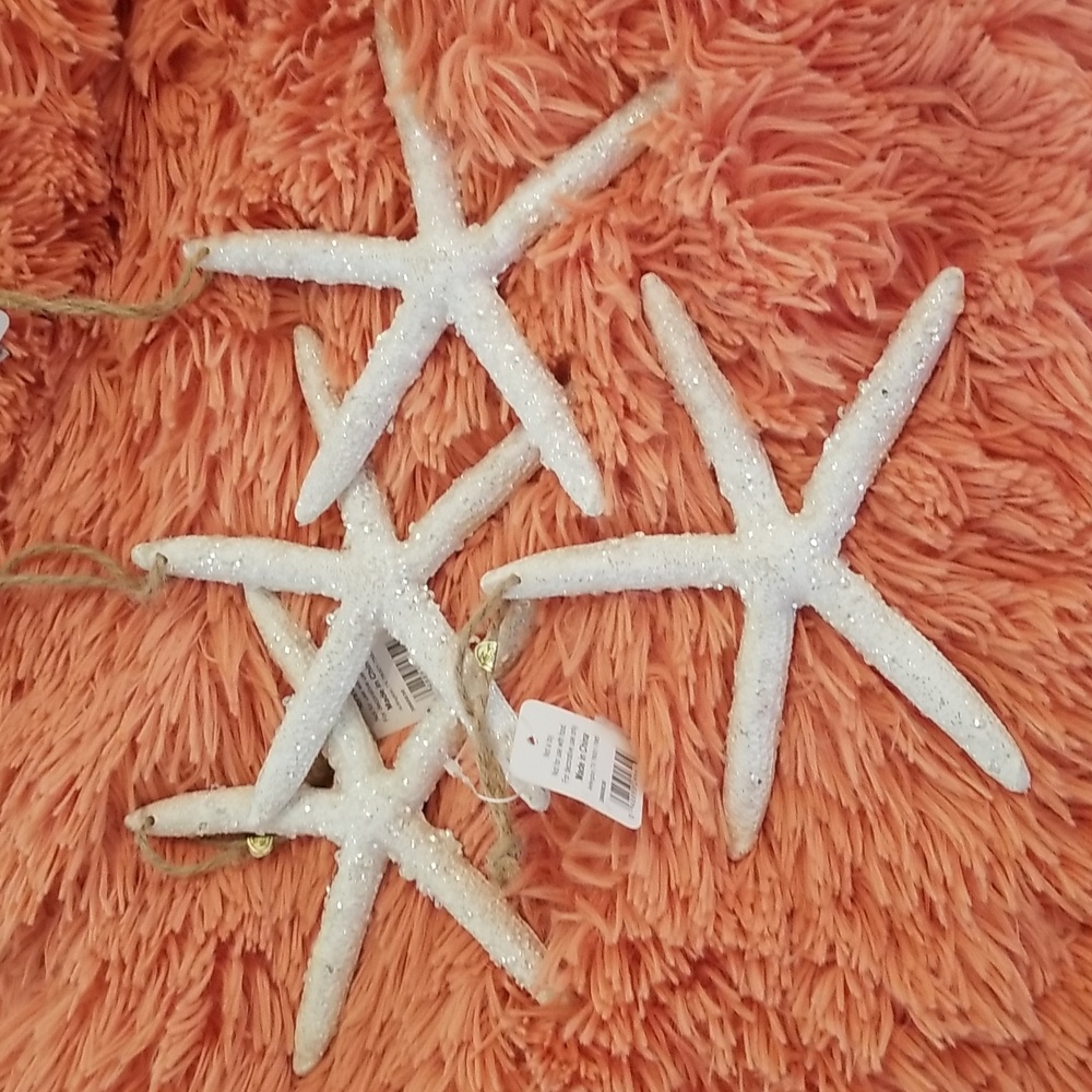 Christmas starfish ornaments (4)